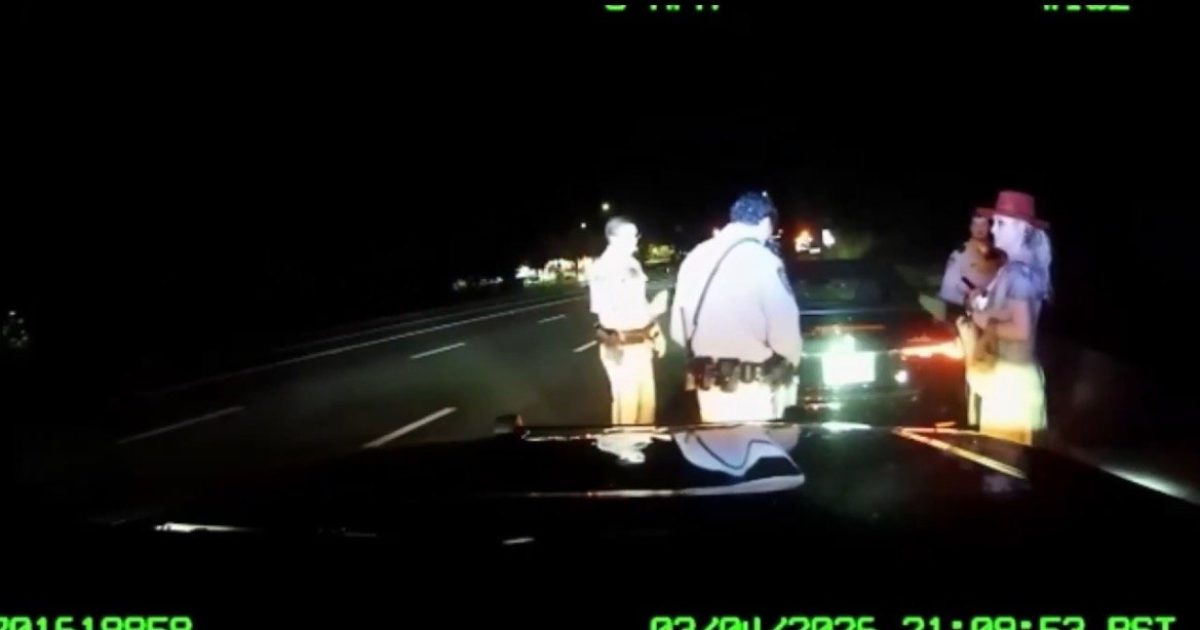 Police officers interact with a woman during a traffic stop at night on a dimly lit highway.