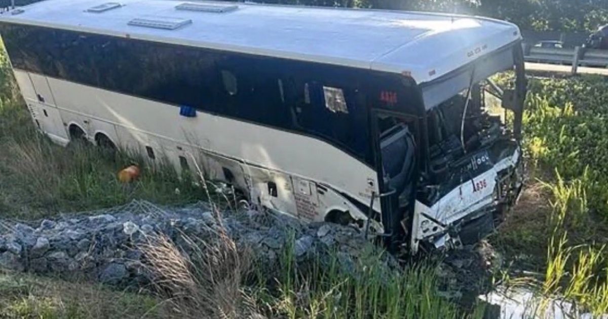 A large white and black bus is partially submerged in a ditch beside a highway, surrounded by tall grass and rocks.