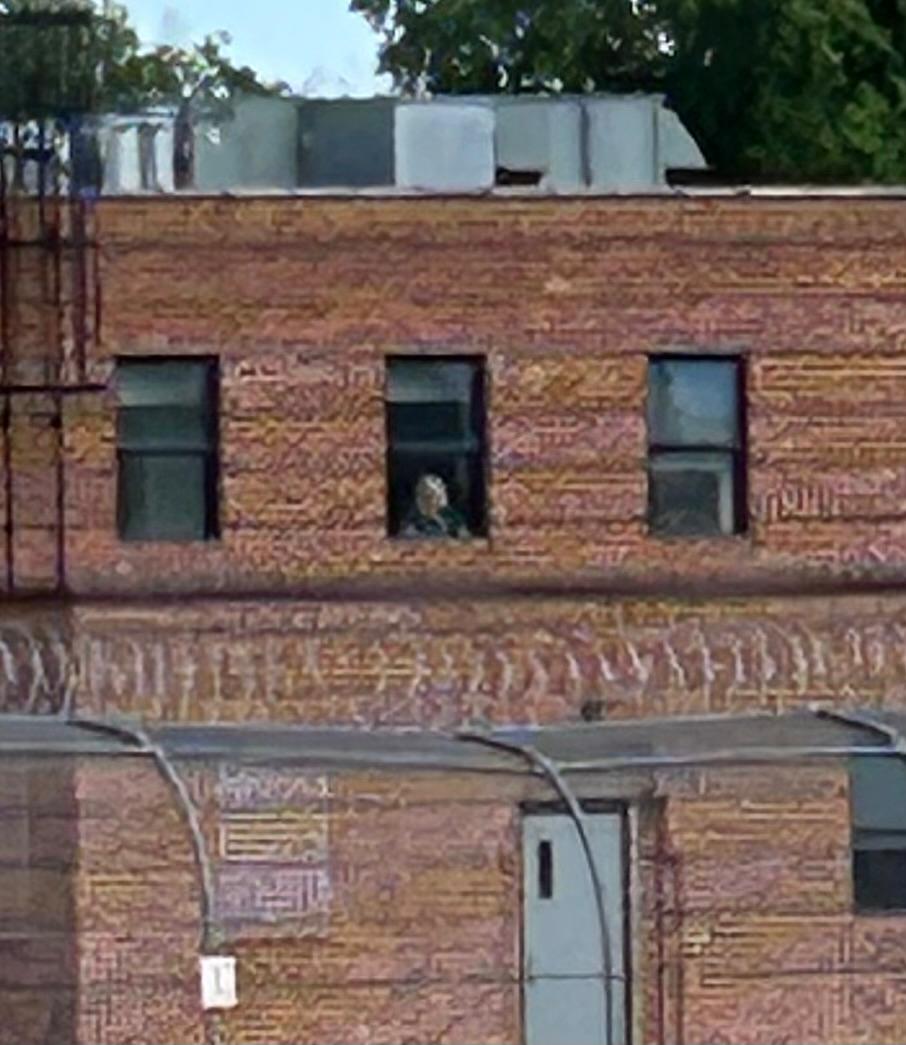 A person gazes out of a window in a brick building, surrounded by greenery and urban architecture.