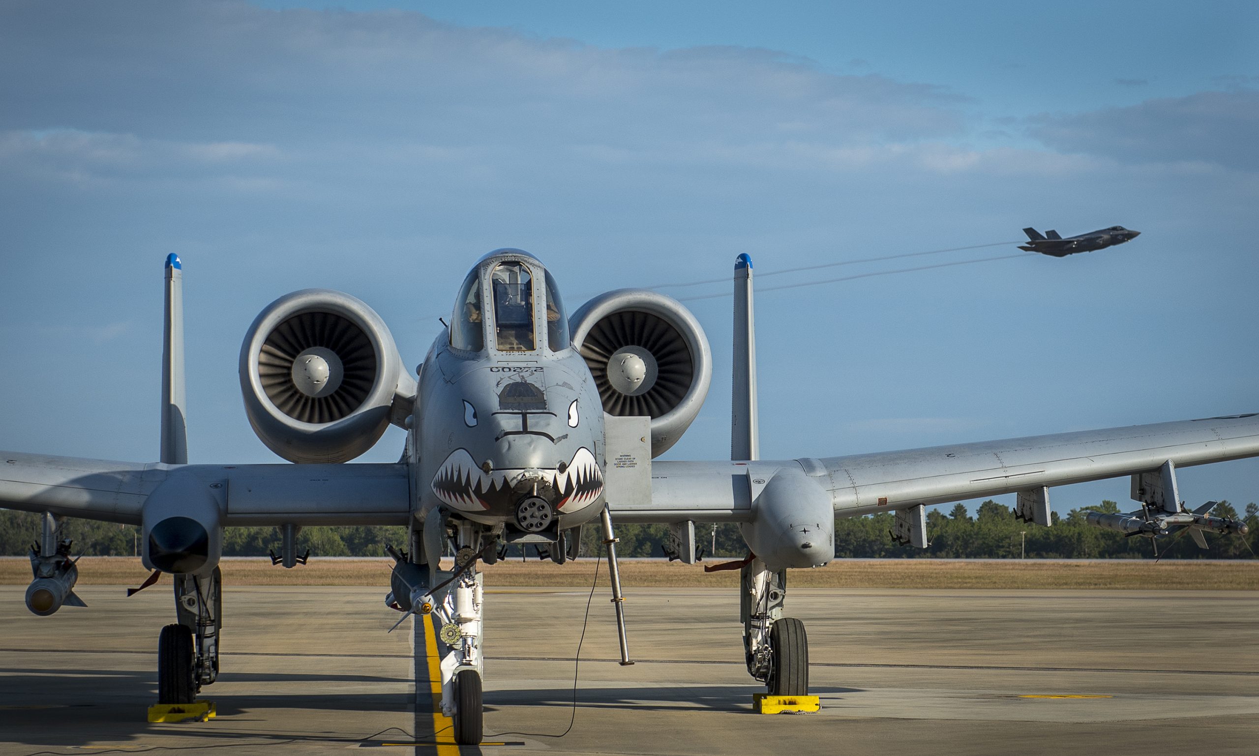 A 33rd Fighter Wing F-35A Lightning II streaks by as a 75th Fighter Squadron A-10 Thunderbolt II undergoes preflight checks prior to a Combat Hammer sortie Nov. 2, at Eglin AFB, Fla. A-10s, F-16s, F-22s and MQ-9s visited the base to participate in the 53rd Wing exercise. The 86th Fighter Weapons Squadron’s Combat Hammer is a weapons system evaluation program for air-to-ground munitions. (U.S. Air Force photo/Samuel King Jr.)