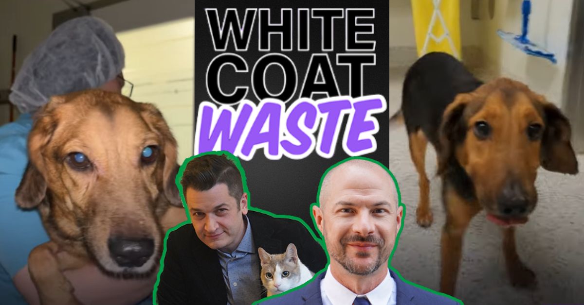 Image featuring a veterinarian with a dog, along with two men and the text "White Coat Waste," highlighting animal welfare and advocacy against unethical animal testing practices.