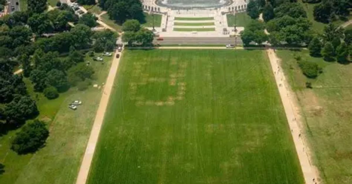 Aerial view of a green park with a large circular fountain and visible walking paths, featuring patches of grass shaped like the number 5.